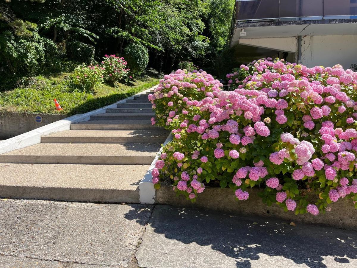 Hauteurs de Trouville - Apt rénové 2/3 pièces avec terrasse au calme Esterno foto